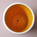 Load image into Gallery viewer, Planter, Small Bee Planter and Tray
