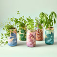 Load image into Gallery viewer, NEW Herb Garden Jar