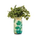 Load image into Gallery viewer, NEW Herb Garden Jar