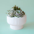 Load image into Gallery viewer, Planter, Pedastal w/ Succulents