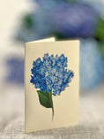 Load image into Gallery viewer, Nantucket Hydrangeas (8 Pop-up Greeting Cards)