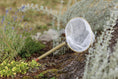 Load image into Gallery viewer, Beetle & Bee Butterfly Net - FSC Certified-Outdoor Play