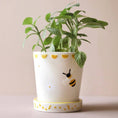 Load image into Gallery viewer, Planter, Small Bee Planter and Tray