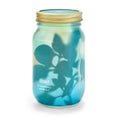 Load image into Gallery viewer, NEW Herb Garden Jar