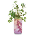 Load image into Gallery viewer, NEW Herb Garden Jar