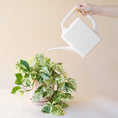 Load image into Gallery viewer, Breeze Block Watering Can