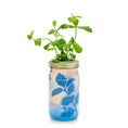 Load image into Gallery viewer, NEW Herb Garden Jar