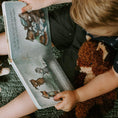 Load image into Gallery viewer, Camp Cricket Board Book