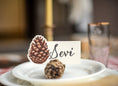 Load image into Gallery viewer, Place Card, Pinecone