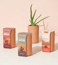 Load image into Gallery viewer, Terracotta Grow Kit