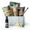 Load image into Gallery viewer, TERRARIUM MARBLE KIT