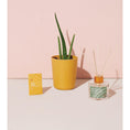 Load image into Gallery viewer, Grounding Aloe Kit, Find Balance