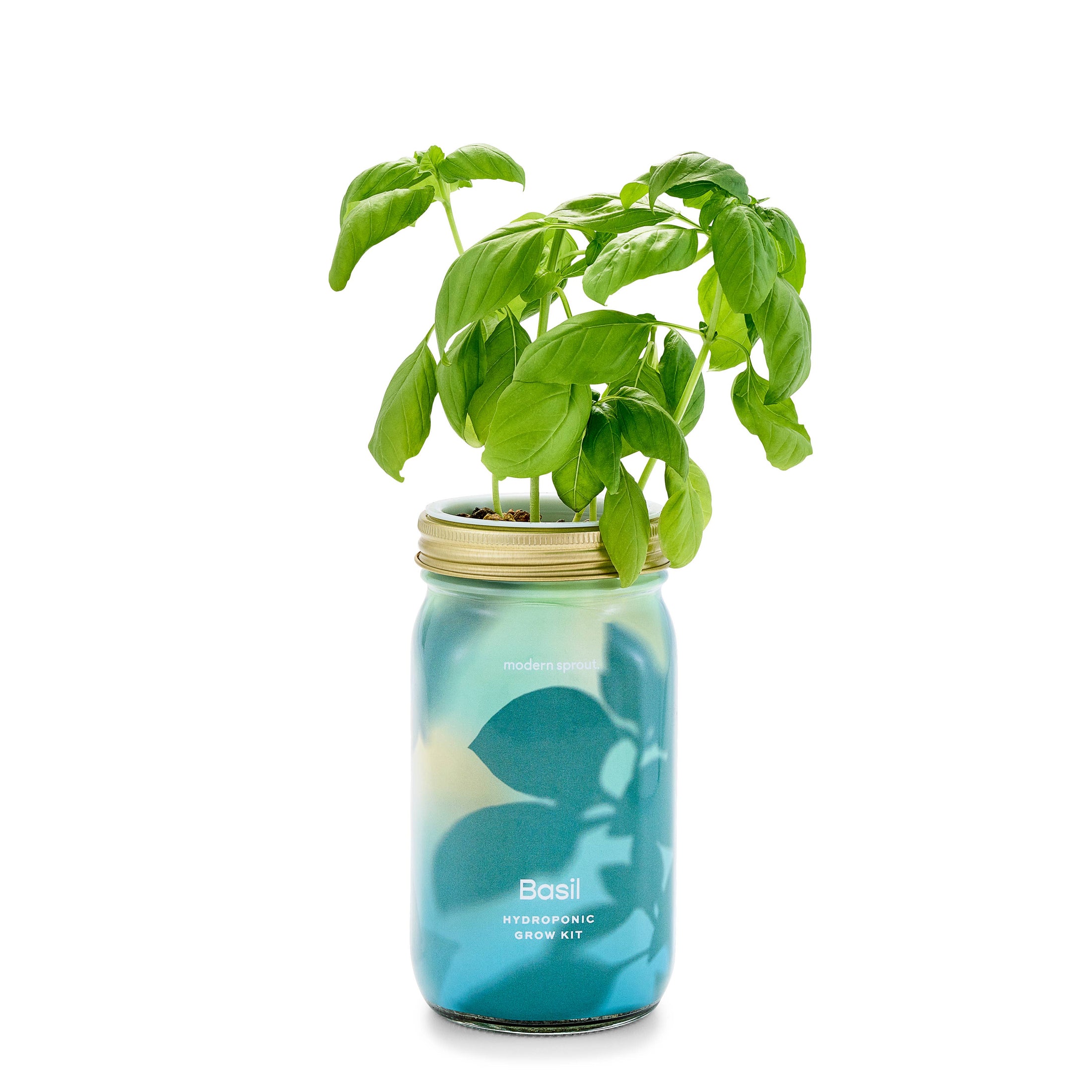 NEW Herb Garden Jar