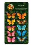 Load image into Gallery viewer, Butterflies & Buttercups (8 Pop-up Greeting Cards)

