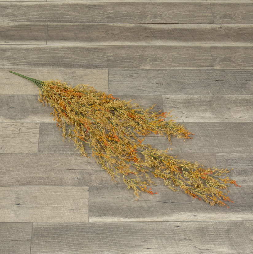Hanging Bush, Avena Bud