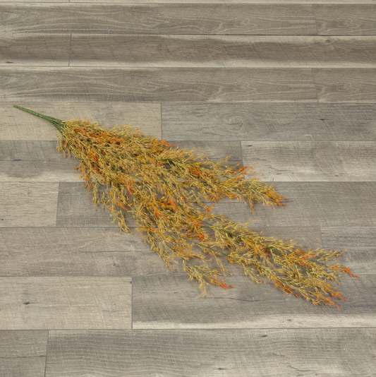 Hanging Bush, Avena Bud
