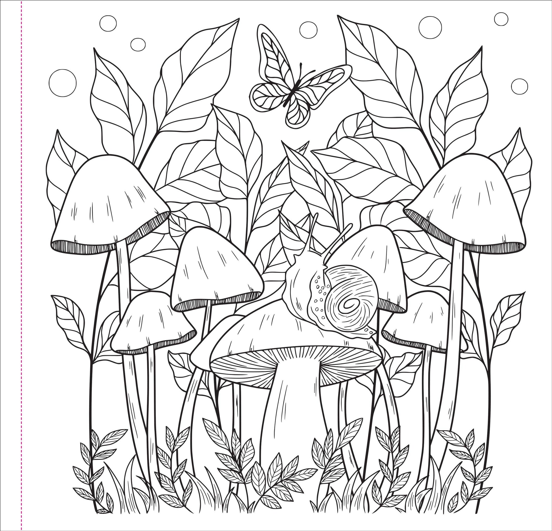 Adult Coloring Book, Mushrooms