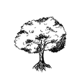 Load image into Gallery viewer, Chopped Leuders pallet
