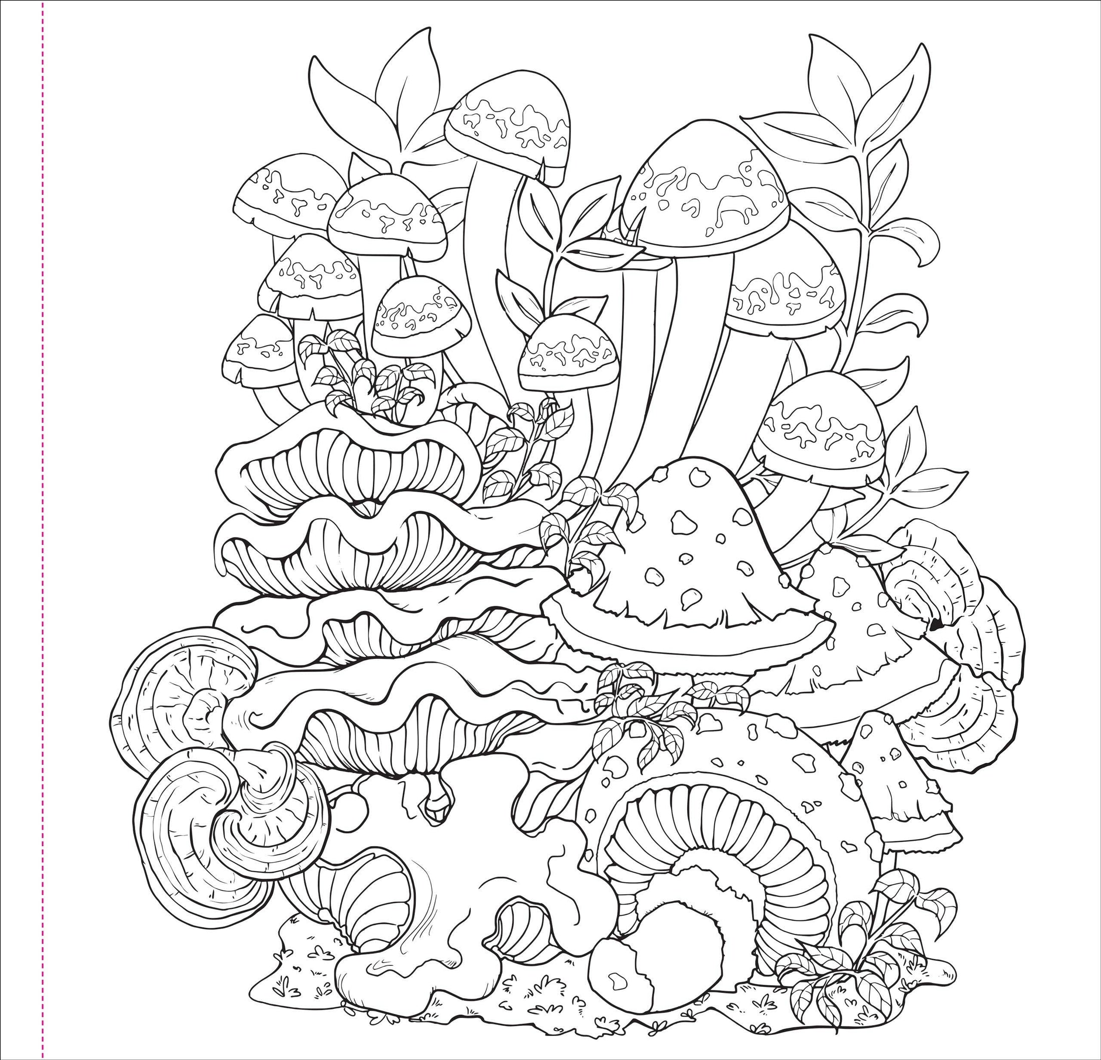 Adult Coloring Book, Mushrooms