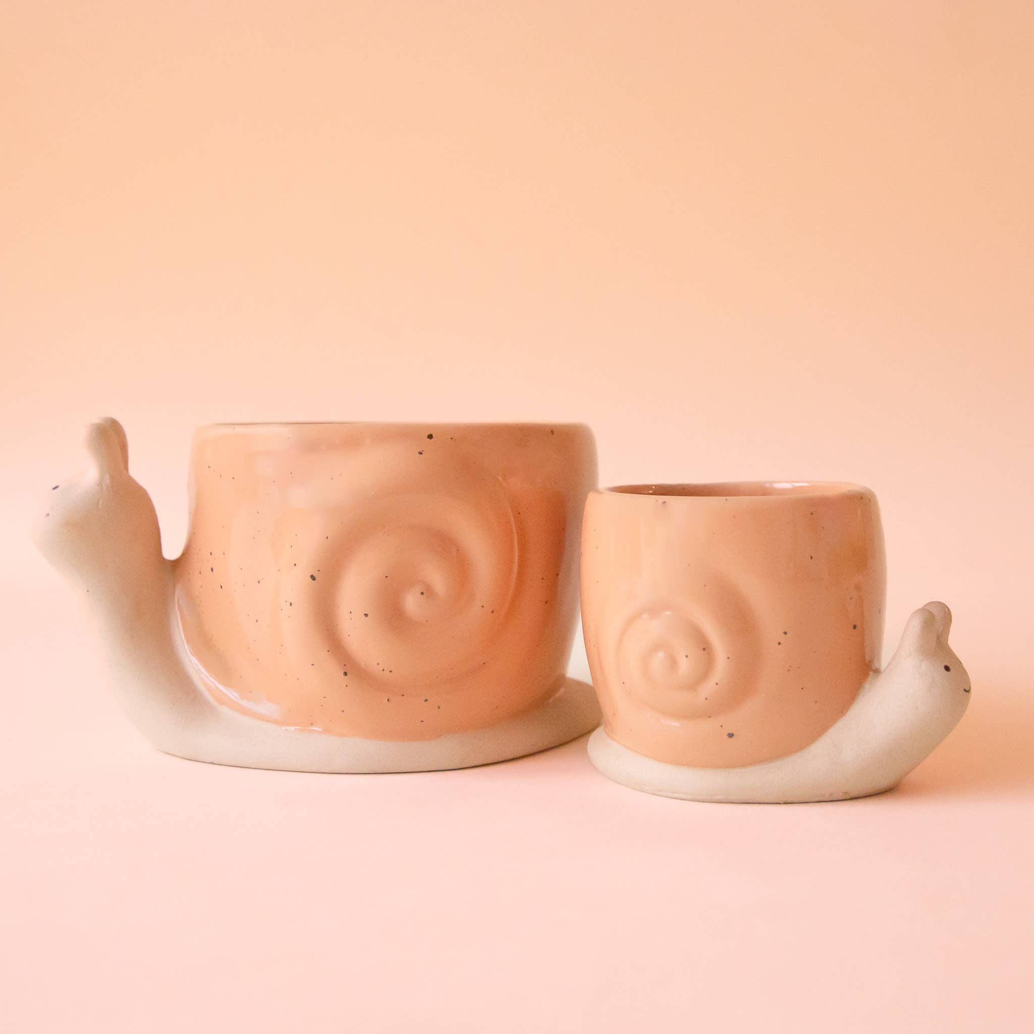 Snail Planter | Sunset