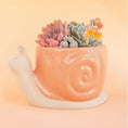 Load image into Gallery viewer, Snail Planter | Sunset
