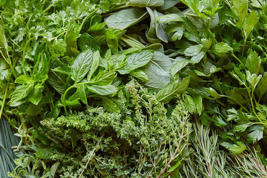 Herb seeds