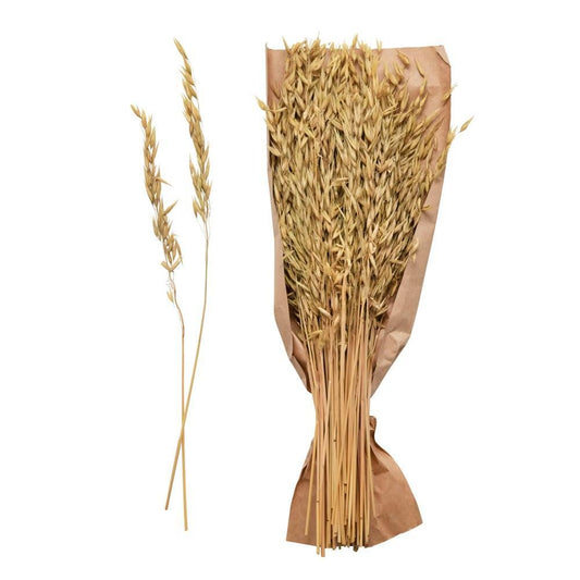 Grass Bunch, Dried Natural Avana