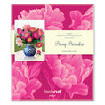 Load image into Gallery viewer, Peony Paradise (8 Pop-up Greeting Cards)
