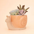 Load image into Gallery viewer, Snail Planter | Sunset
