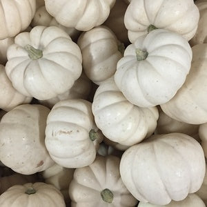 Pumpkin, Mini