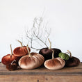 Load image into Gallery viewer, Velvet Pumpkin w/ Resin Stem
