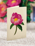 Load image into Gallery viewer, Peony Paradise (8 Pop-up Greeting Cards)
