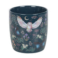 Load image into Gallery viewer, Mug, Night Flight Owl
