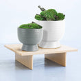 Load image into Gallery viewer, Mid Century Ceramic Pot
