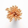 Load image into Gallery viewer, Mini Apothecary Vintage Matches
