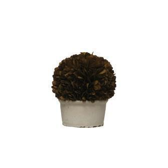 Topiary, Fall Preserved Boxwood