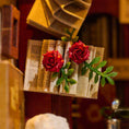 Load image into Gallery viewer, DIY Book Nook Kit: Main Street Books
