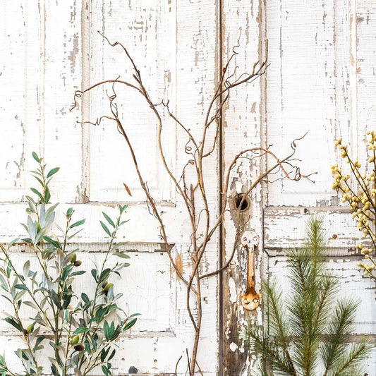 Willow Branch