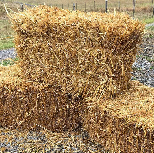 Hay Bales