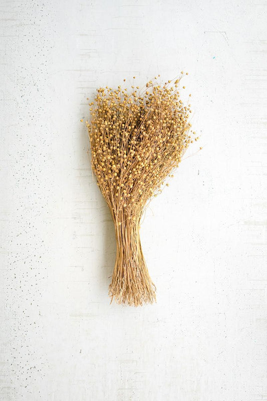 Bundle of Natural Lino Stems