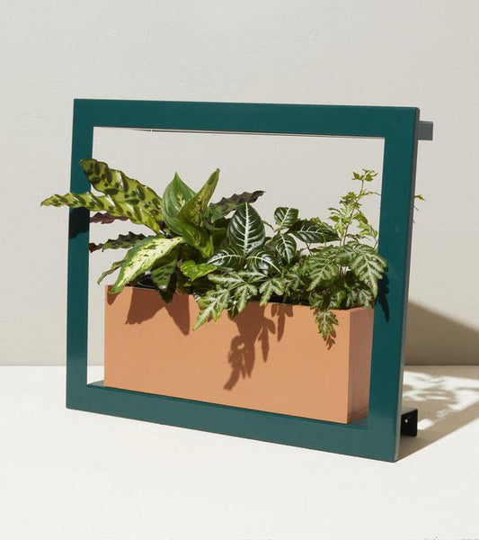 Growframe