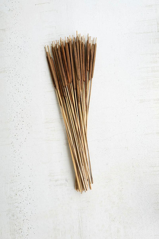 Bundle of Dried Miniature Cattails