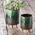 Load image into Gallery viewer, Planter, Emerald Companero
