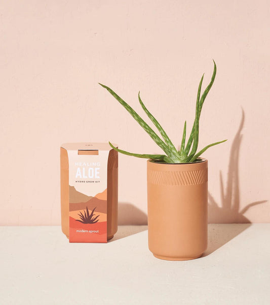 Terracotta Grow Kit
