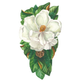 Load image into Gallery viewer, Table Accent, Magnolia
