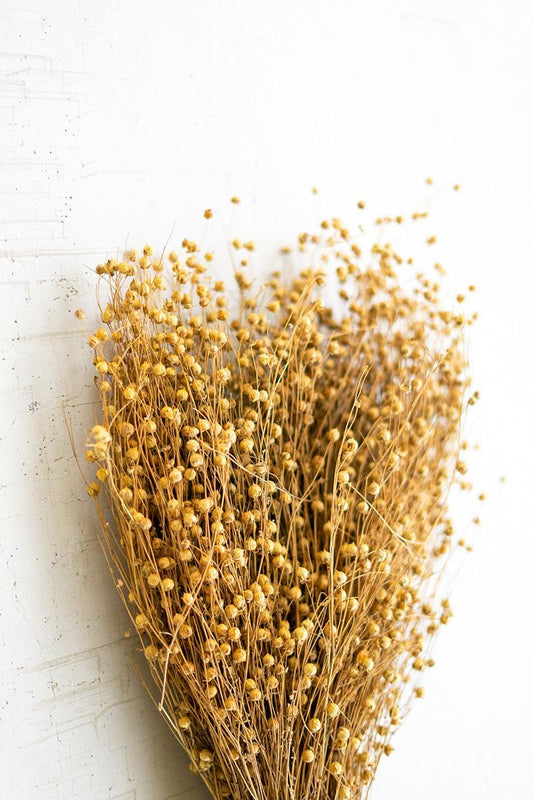 Bundle of Natural Lino Stems