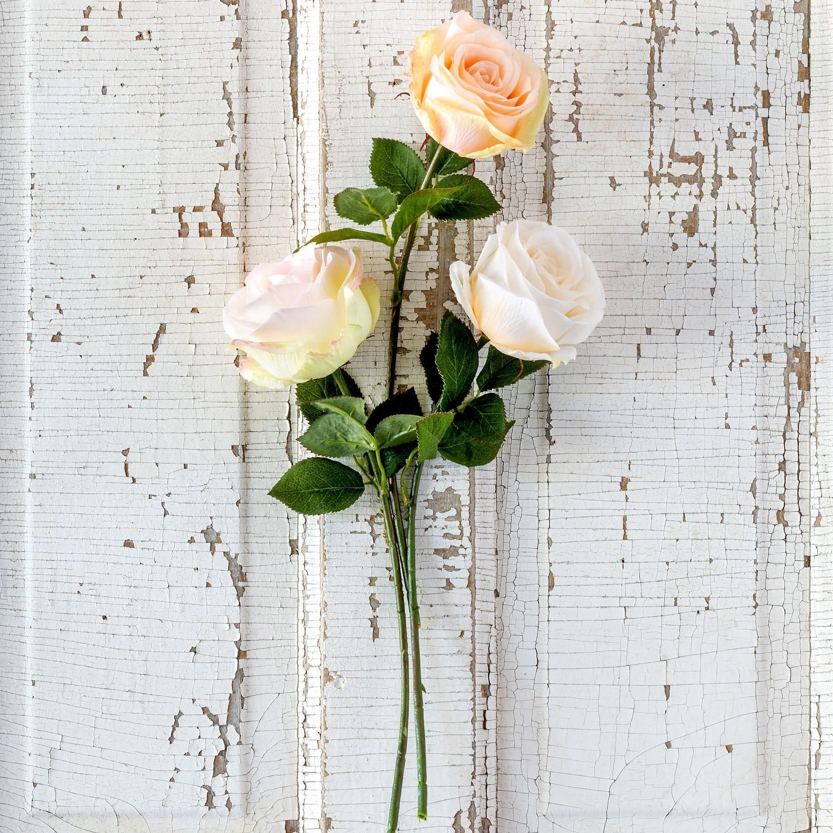 Crafted Garden Rose, Blush, 3 Assorted Colors