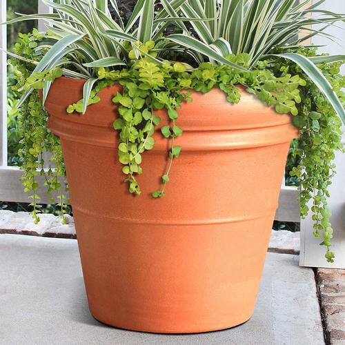 Heavy Rim Pot