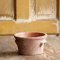 Load image into Gallery viewer, Low Terrace Planter
