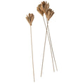 Load image into Gallery viewer, Dried Lily Lotus Flower Pick
